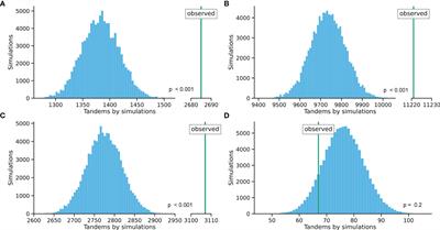 Tandem Substitutions in Somatic Hypermutation